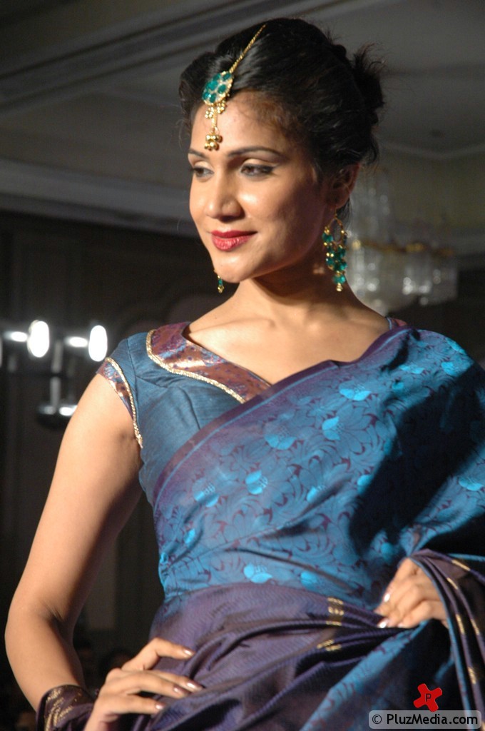Palam Silk Fashion Show 2011 Pictures | Picture 74240